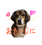 にこにこ そらゆき（個別スタンプ：16）