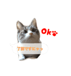猫のわさび2（個別スタンプ：2）