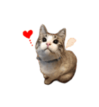 猫のわさび2（個別スタンプ：25）