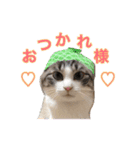 猫のわさび2（個別スタンプ：26）