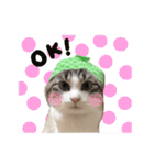 猫のわさび2（個別スタンプ：35）