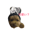 うちのそらたん（個別スタンプ：1）