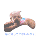 うちのそらたん（個別スタンプ：2）