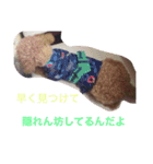 うちのそらたん（個別スタンプ：3）