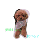 うちのそらたん（個別スタンプ：9）