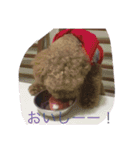 うちのそらたん（個別スタンプ：13）
