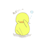 ほんわか ひよこ（個別スタンプ：16）
