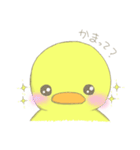 ほんわか ひよこ（個別スタンプ：21）