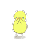 ほんわか ひよこ（個別スタンプ：24）