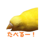キィちゃんスタンプ（個別スタンプ：9）