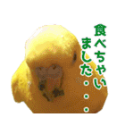 キィちゃんスタンプ（個別スタンプ：18）