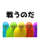 キィちゃんスタンプ（個別スタンプ：25）