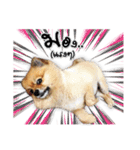 Google＆Yahoo Messy dog（個別スタンプ：1）