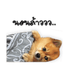 Google＆Yahoo Messy dog（個別スタンプ：4）