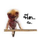 Google＆Yahoo Messy dog（個別スタンプ：9）