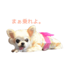 ちぇりーのスタンプです。（個別スタンプ：4）