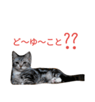マンチカンのLuna＆Leo2（個別スタンプ：21）