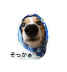 コーギー むた②（個別スタンプ：9）