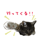 立ち耳スコ るいたん（個別スタンプ：7）