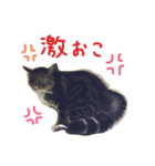 立ち耳スコ るいたん（個別スタンプ：8）