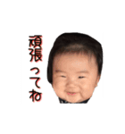 ゆきまる01（個別スタンプ：15）