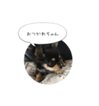 きょうのレオンさん（個別スタンプ：1）