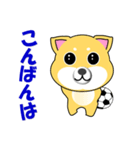 柴犬のサッカー（個別スタンプ：3）