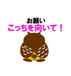 フクロウのふくっしーが幸せを呼ぶ（個別スタンプ：13）