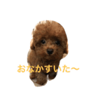 tora628（個別スタンプ：6）