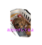 tora628（個別スタンプ：8）