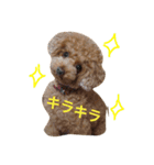 まめまめこ（個別スタンプ：2）
