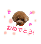 まめまめこ（個別スタンプ：4）