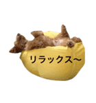 まめまめこ（個別スタンプ：10）