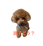 まめまめこ（個別スタンプ：12）