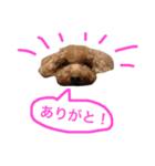 まめまめこ（個別スタンプ：16）