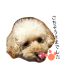 ココやまさん♡♡（個別スタンプ：3）