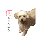 ココやまさん♡♡（個別スタンプ：4）