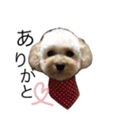 ココやまさん♡♡（個別スタンプ：12）