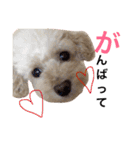 ココやまさん♡♡（個別スタンプ：13）