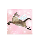 おとなしいねこ（個別スタンプ：1）