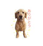ぎんちゃんすたんぷ with えんどうさんち。（個別スタンプ：3）