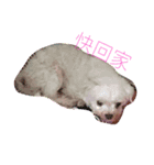 私の愛（個別スタンプ：3）