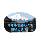 チェロとビオラ（個別スタンプ：16）