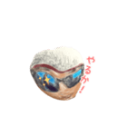 もぐさん3（個別スタンプ：1）