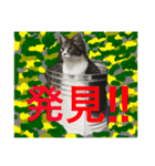 ざ、とんきち（個別スタンプ：2）