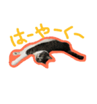 ざ、とんきち（個別スタンプ：14）