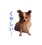 ペチカロン（個別スタンプ：2）