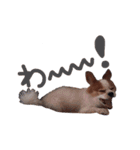 ペチカロン（個別スタンプ：8）