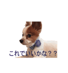 ペチカロン（個別スタンプ：9）