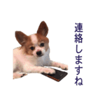 ペチカロン（個別スタンプ：11）
